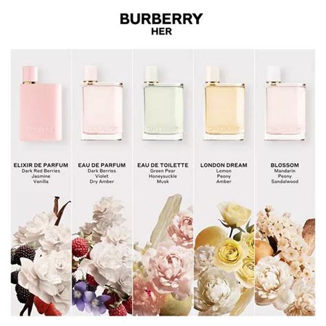 burberry women v s her|burberry her peony scent.